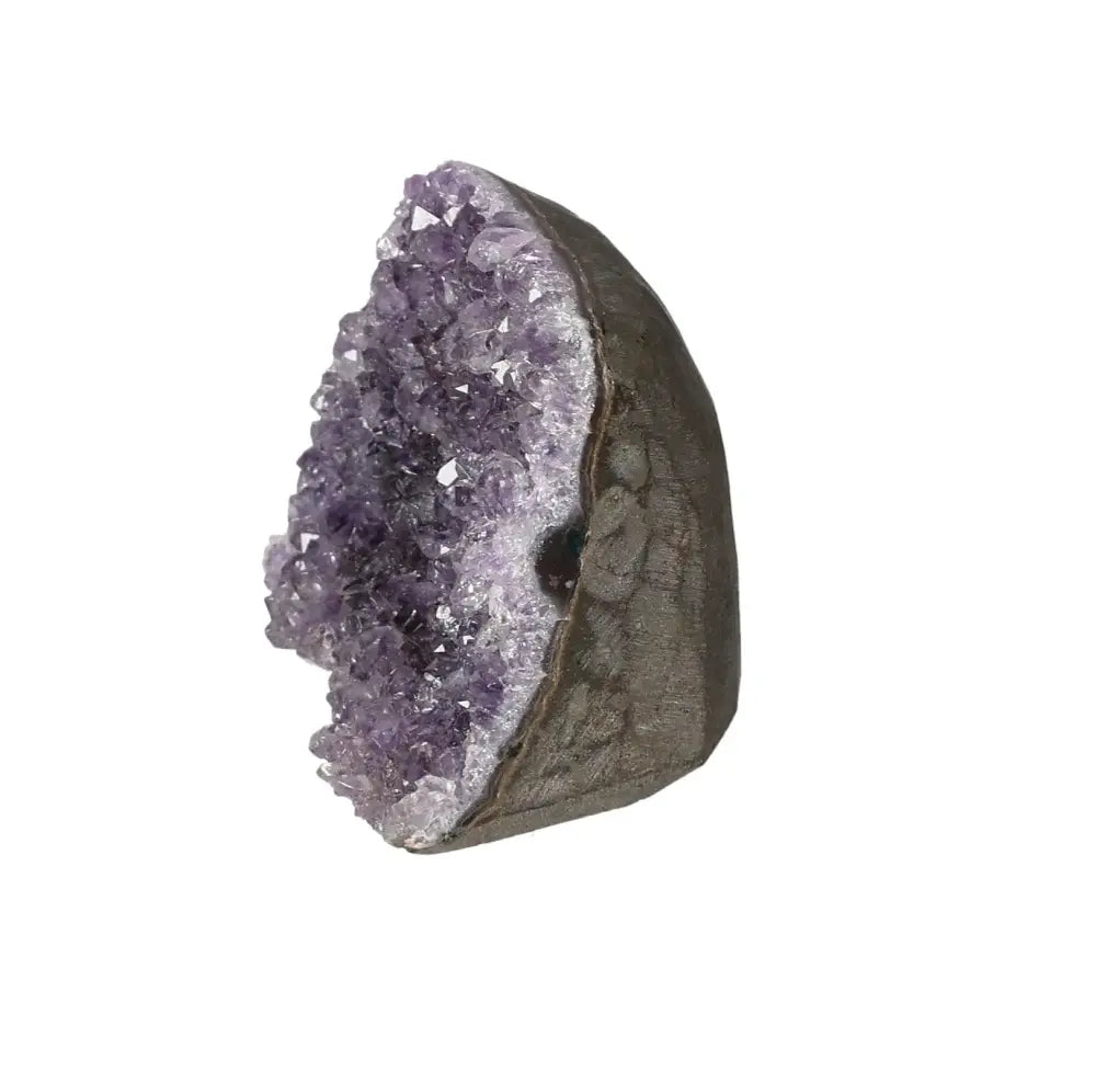 orbitvu|type:image2d