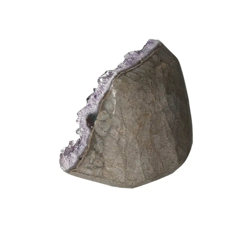 orbitvu|type:image2d