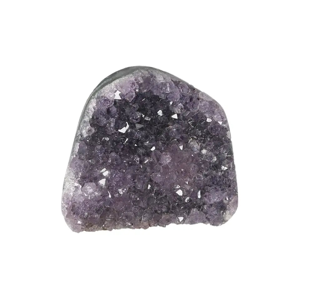 orbitvu|type:image2d