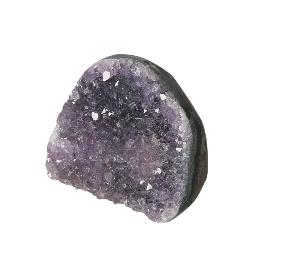 orbitvu|type:image2d