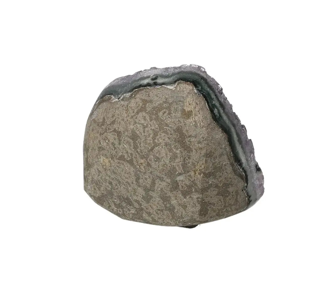 orbitvu|type:image2d