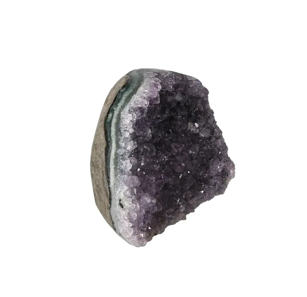 orbitvu|type:image2d