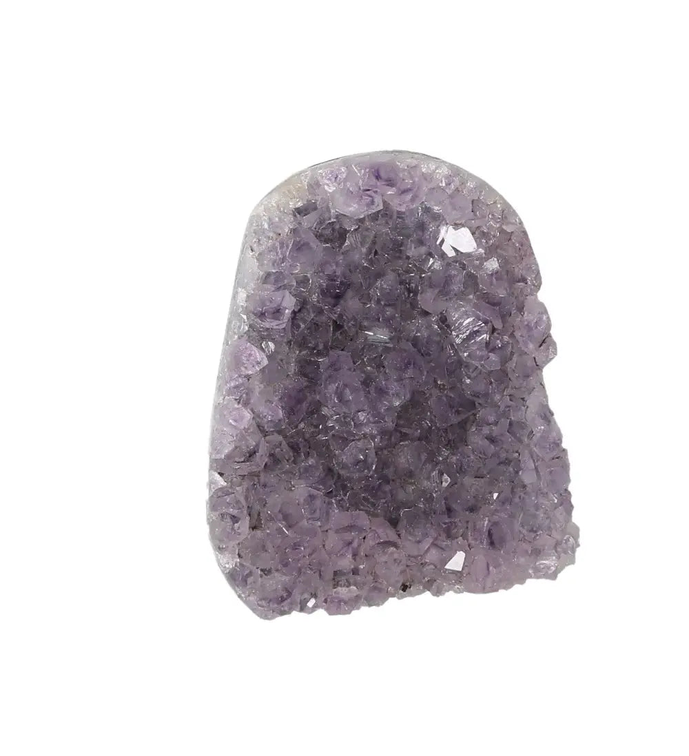 orbitvu|type:image2d