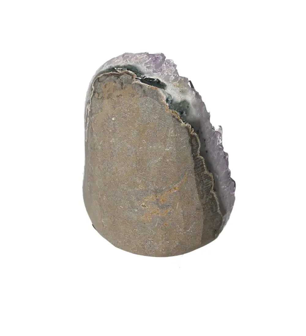 orbitvu|type:image2d