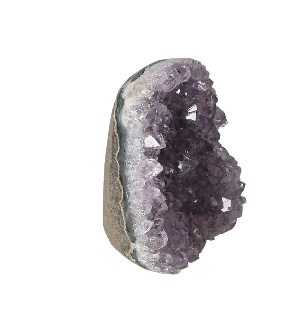 orbitvu|type:image2d