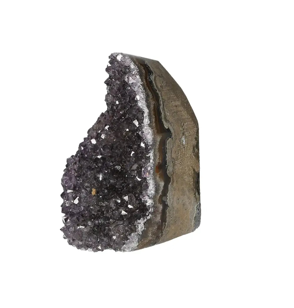 orbitvu|type:image2d