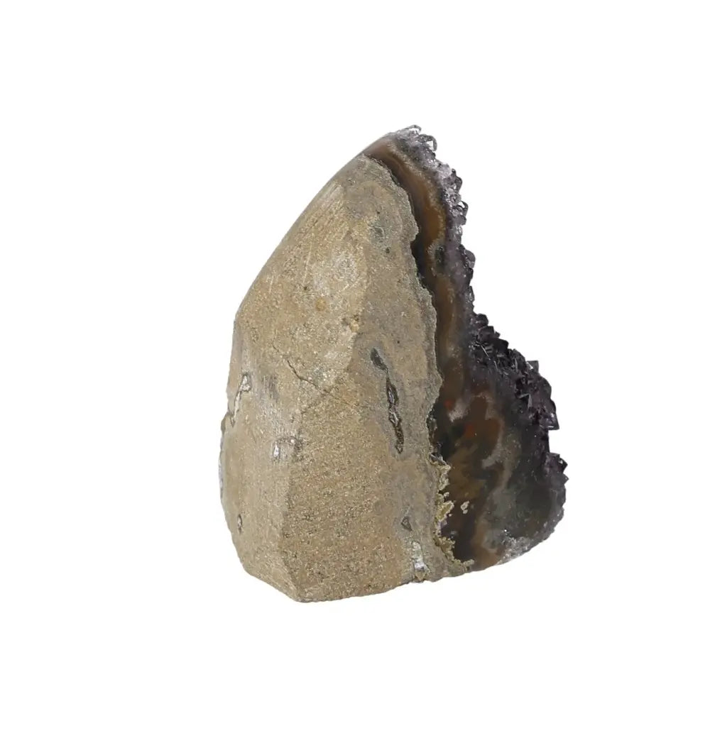 orbitvu|type:image2d