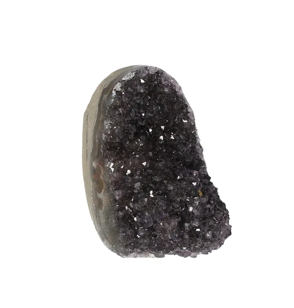 orbitvu|type:image2d