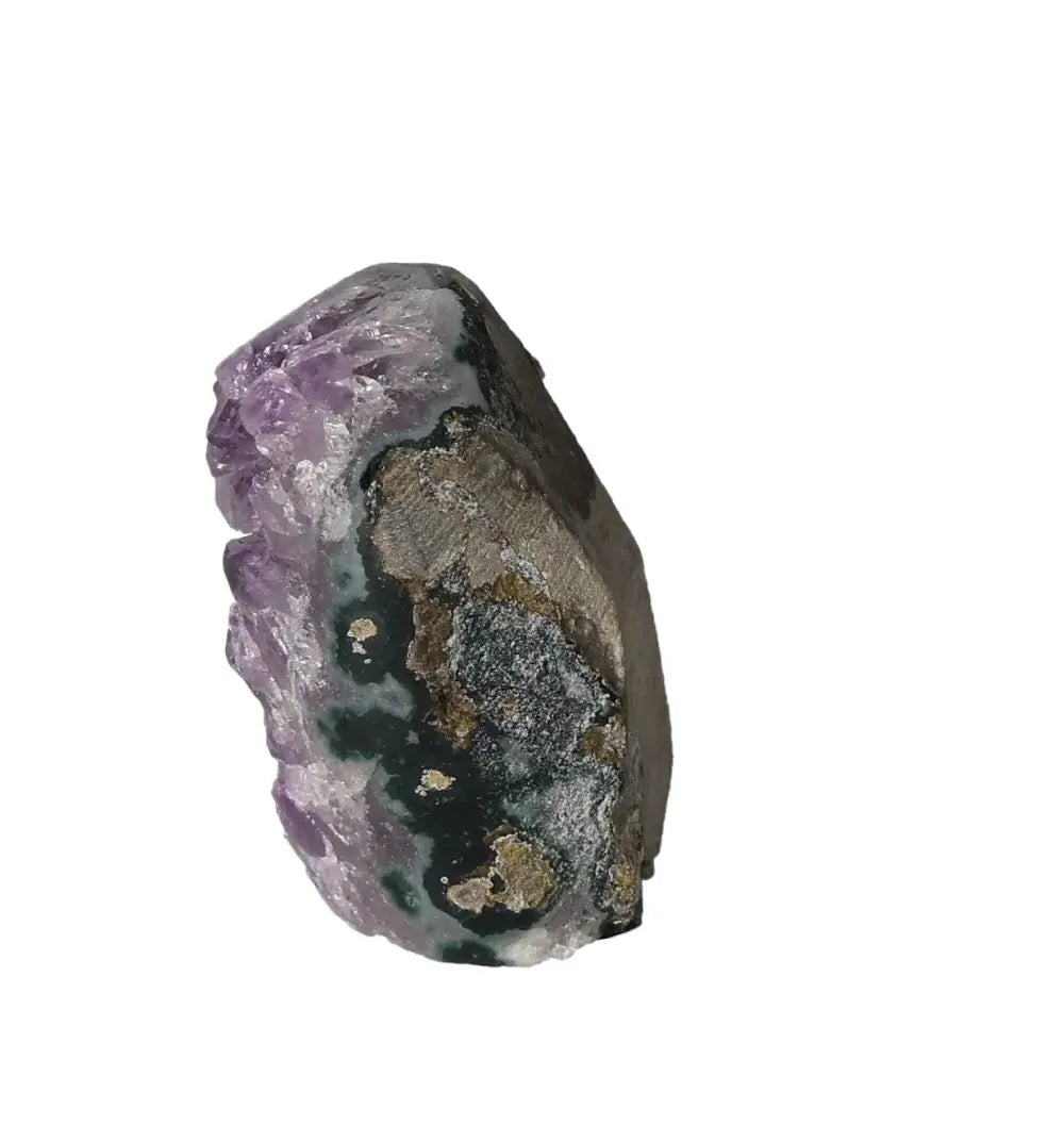 orbitvu|type:image2d