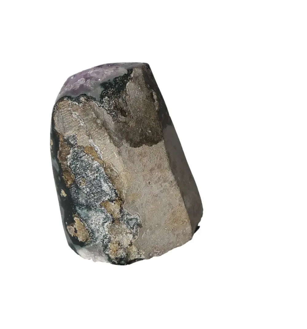 orbitvu|type:image2d