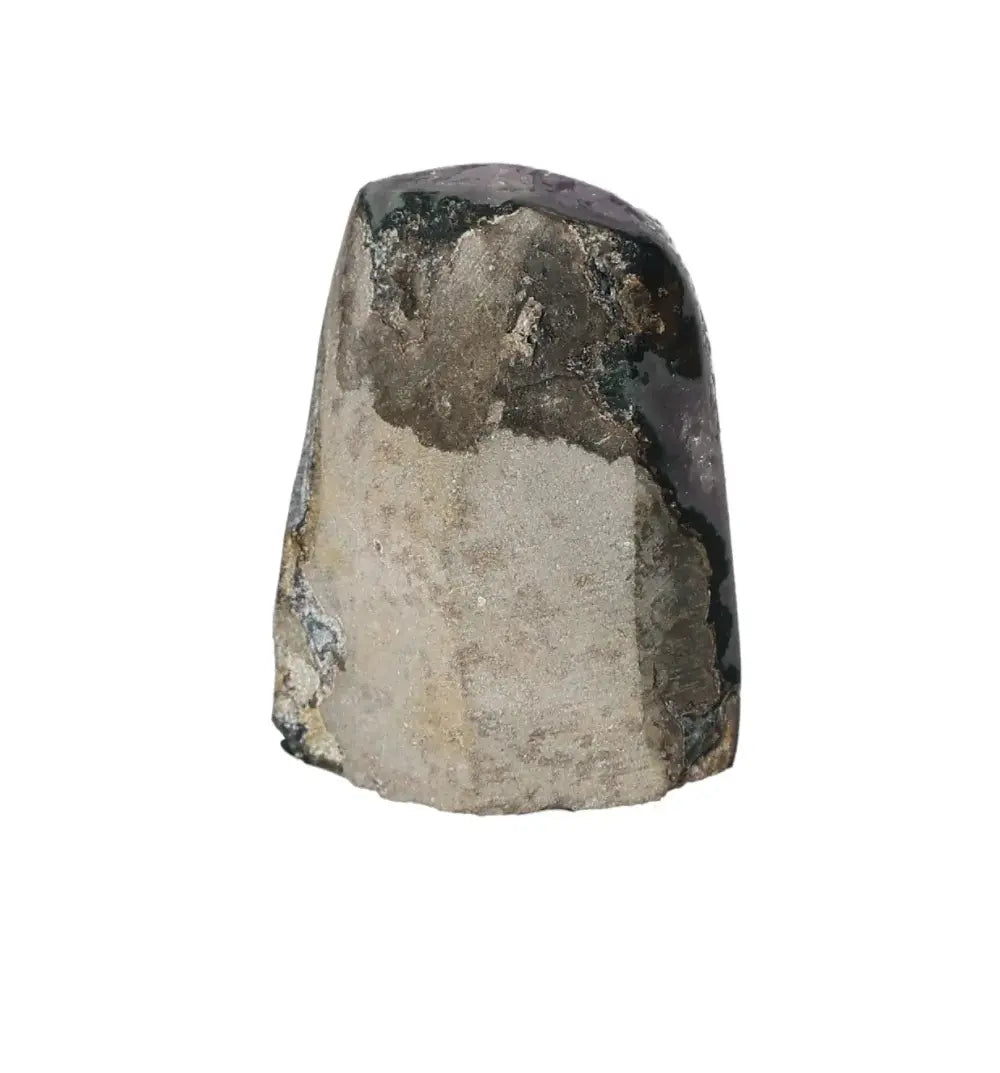 orbitvu|type:image2d