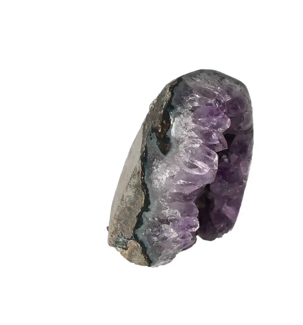 orbitvu|type:image2d