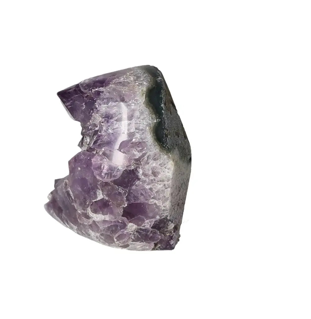 orbitvu|type:image2d