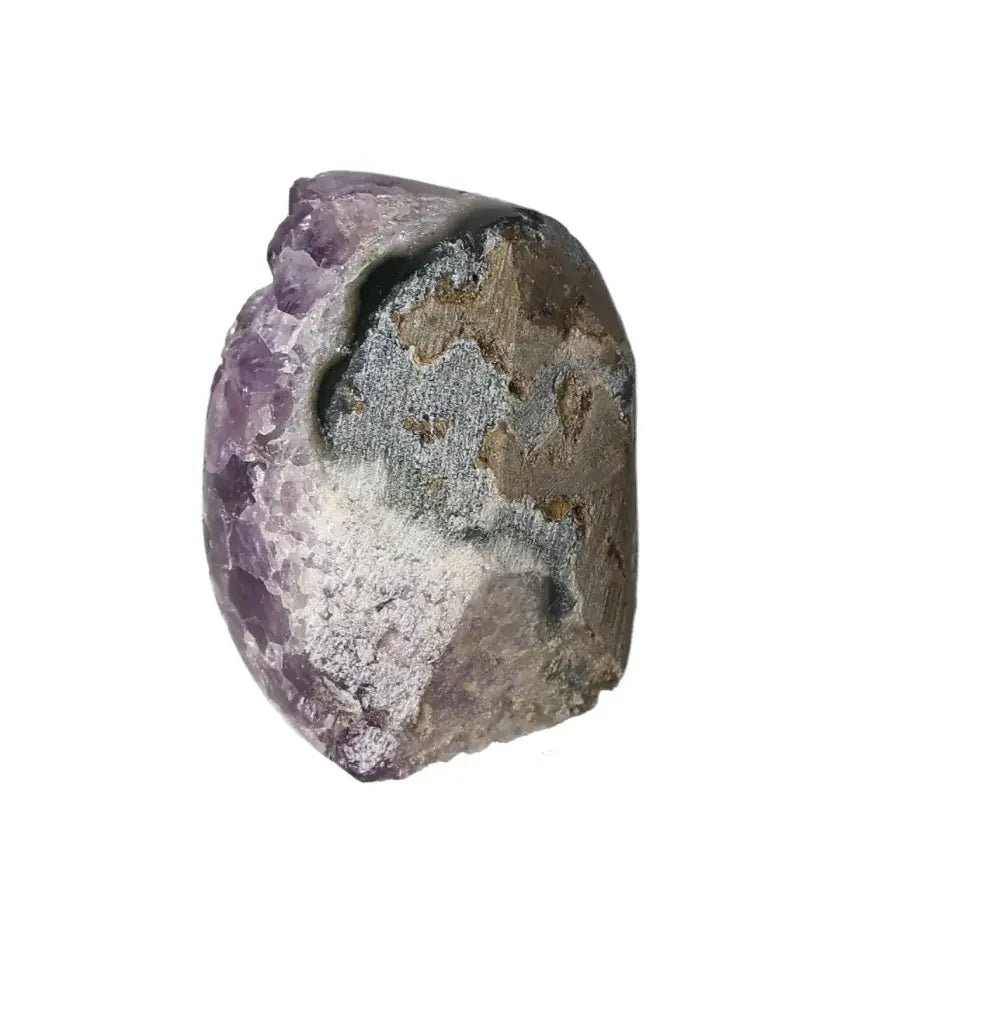 orbitvu|type:image2d