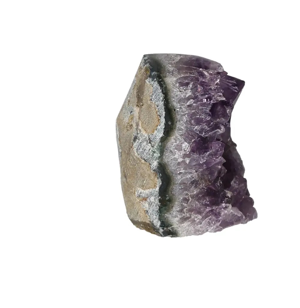 orbitvu|type:image2d