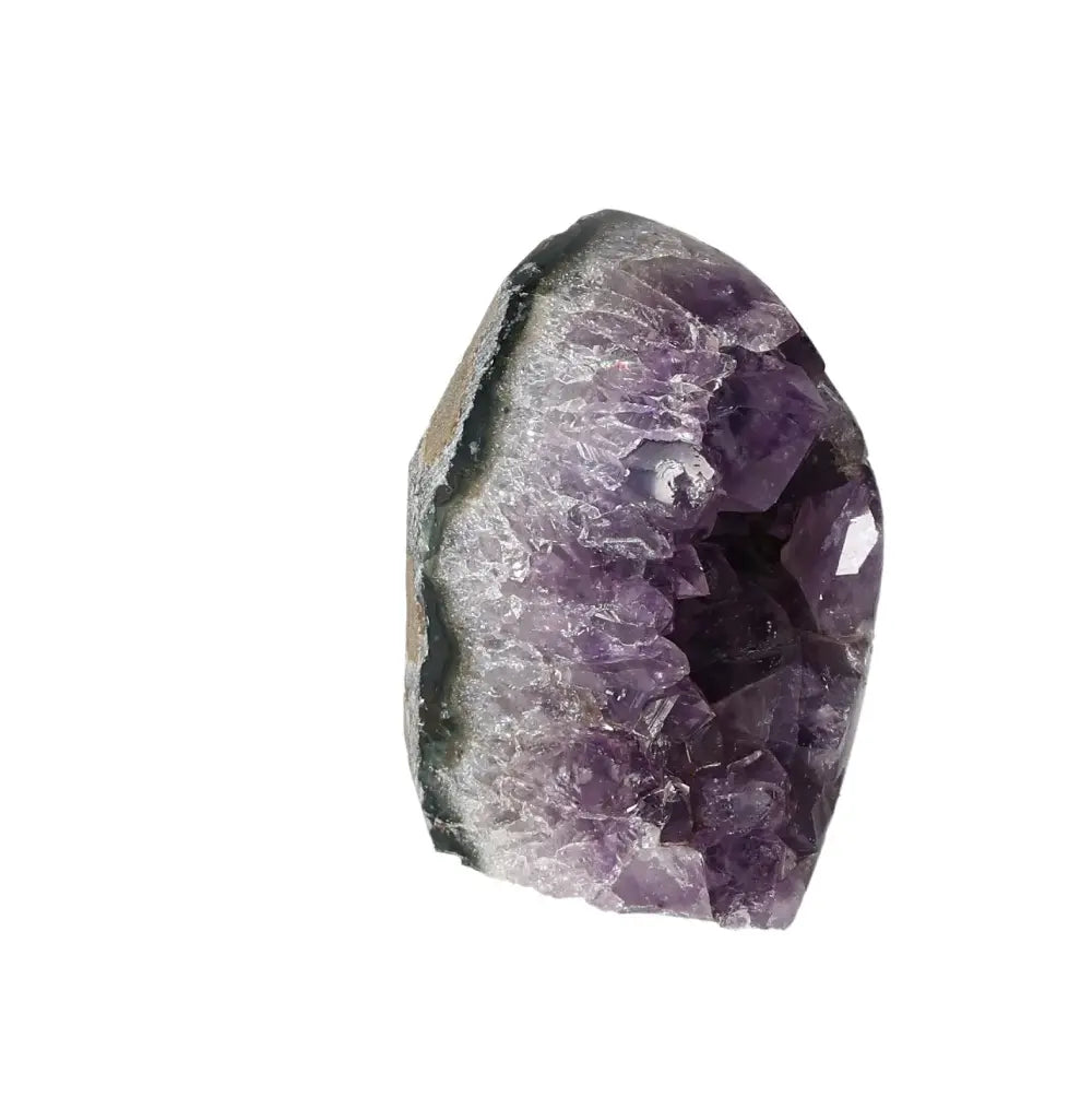 orbitvu|type:image2d