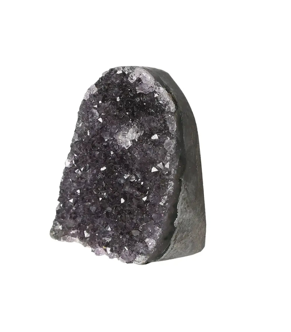 orbitvu|type:image2d