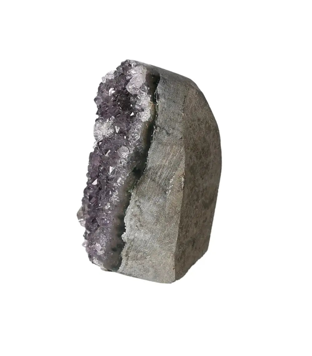 orbitvu|type:image2d