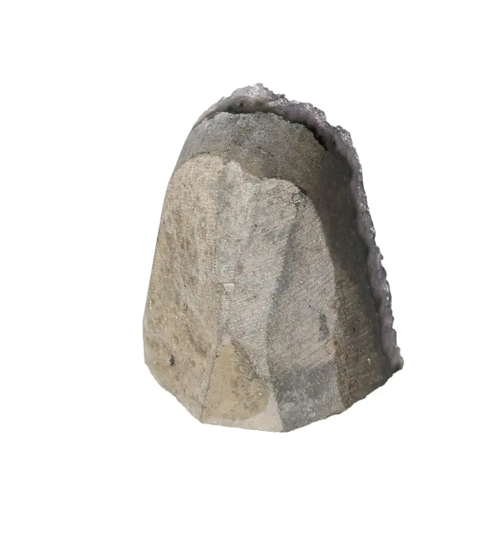 orbitvu|type:image2d