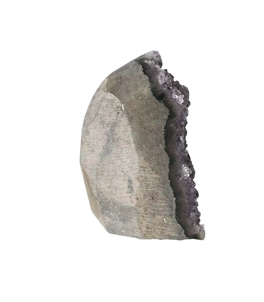 orbitvu|type:image2d