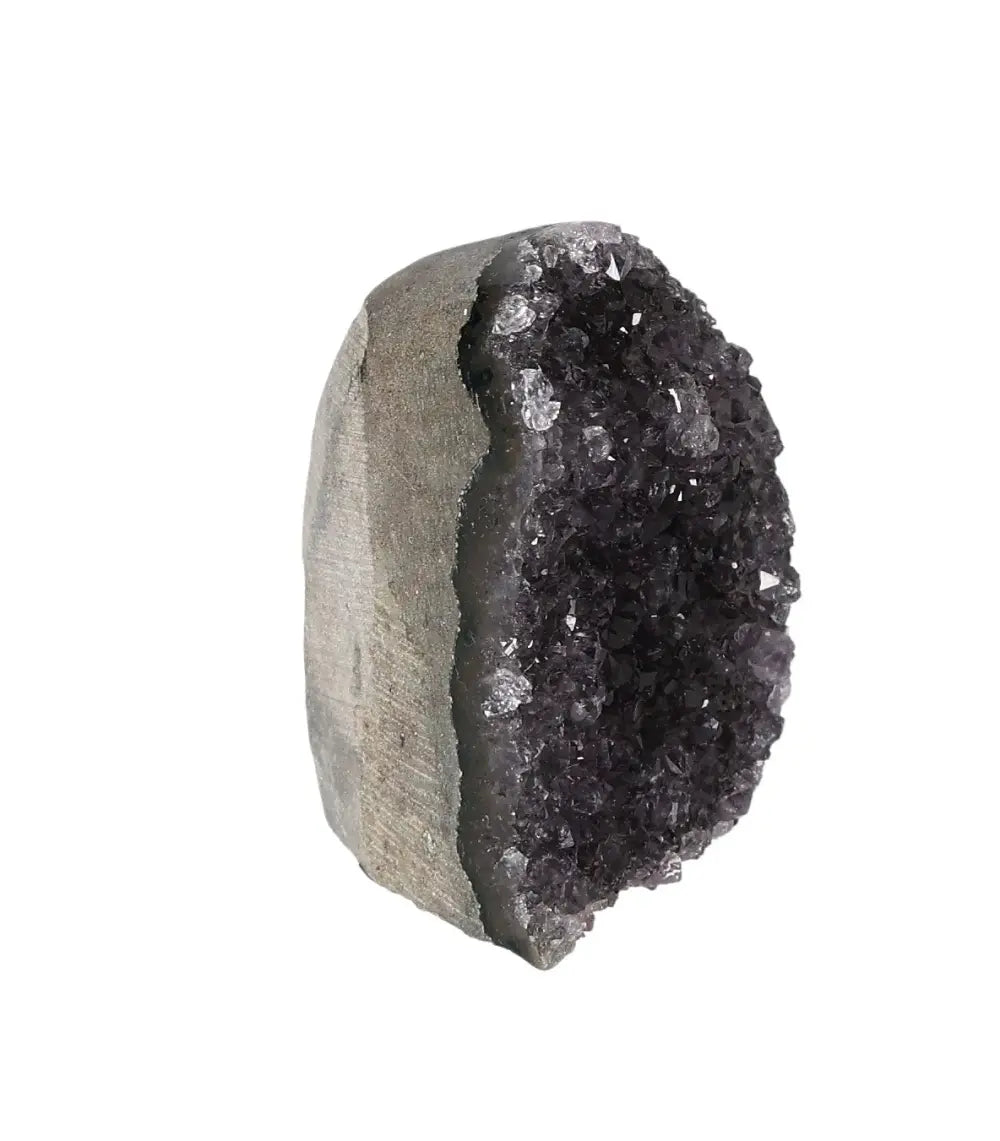 orbitvu|type:image2d