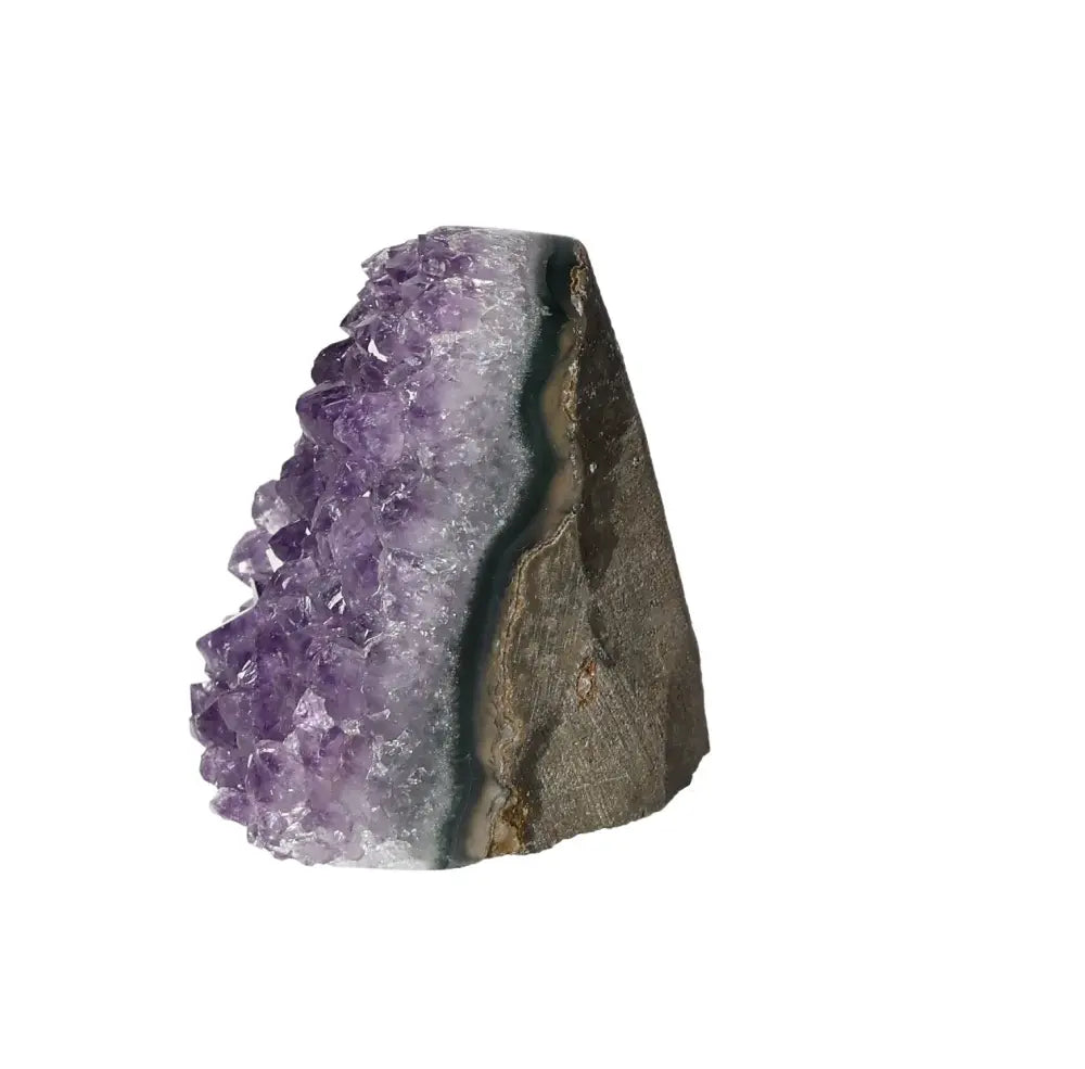 orbitvu|type:image2d