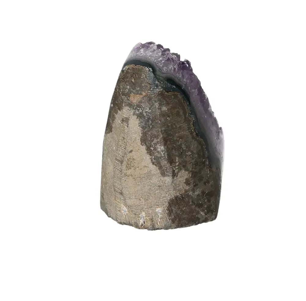 orbitvu|type:image2d