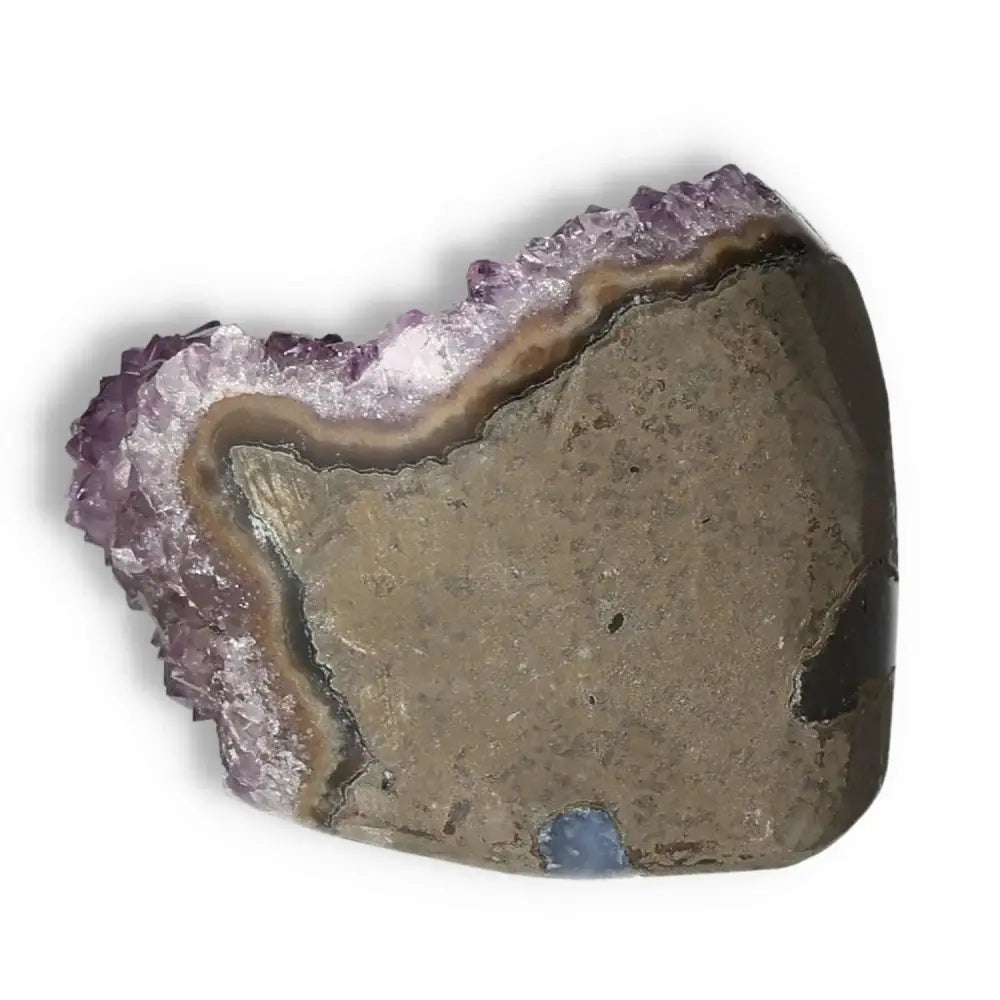 Amethyst cut base geode showcasing rich purple hues, offering tranquility and luxury; available at Sylvia Crystals.