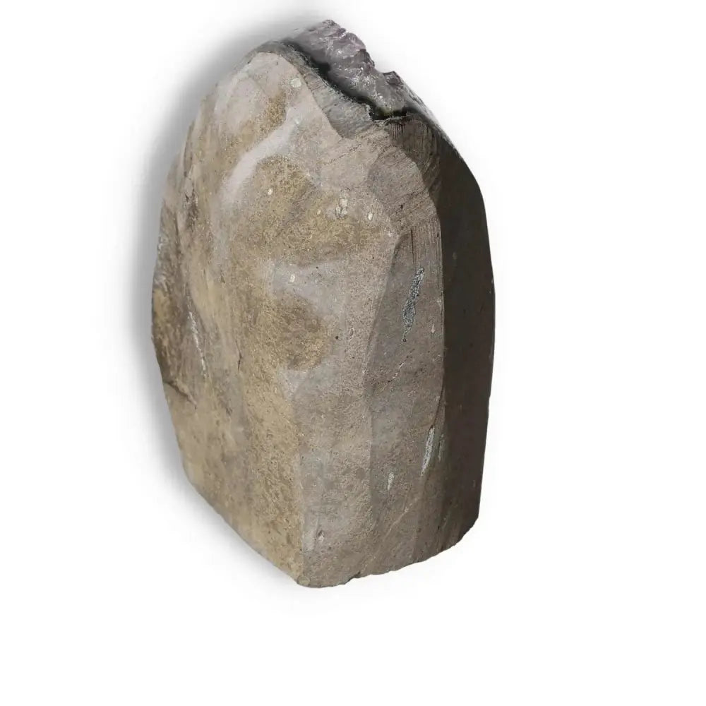 Amethyst cut base geode from Sylvia Crystals, showcasing its natural beauty and stress-relieving properties.