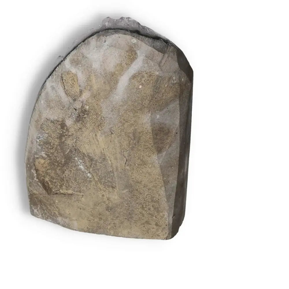 Back view of Amethyst cut base geode displaying detailed stone texture, highlighting premium craftsmanship by Sylvia Crystals.