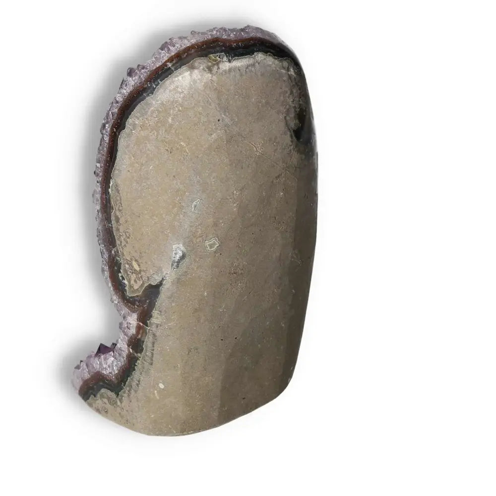 Amethyst cut base geode, premium quality from Sylvia Crystals, showcasing natural allure and luxury.