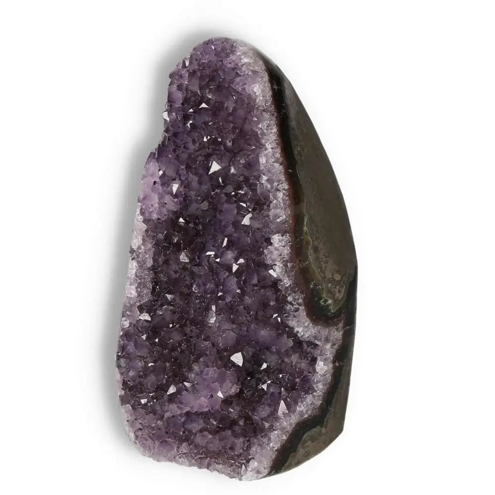 Majestic Amethyst cut base geode from Sylvia Crystals, showcasing luxurious purple hues and spiritual elegance.