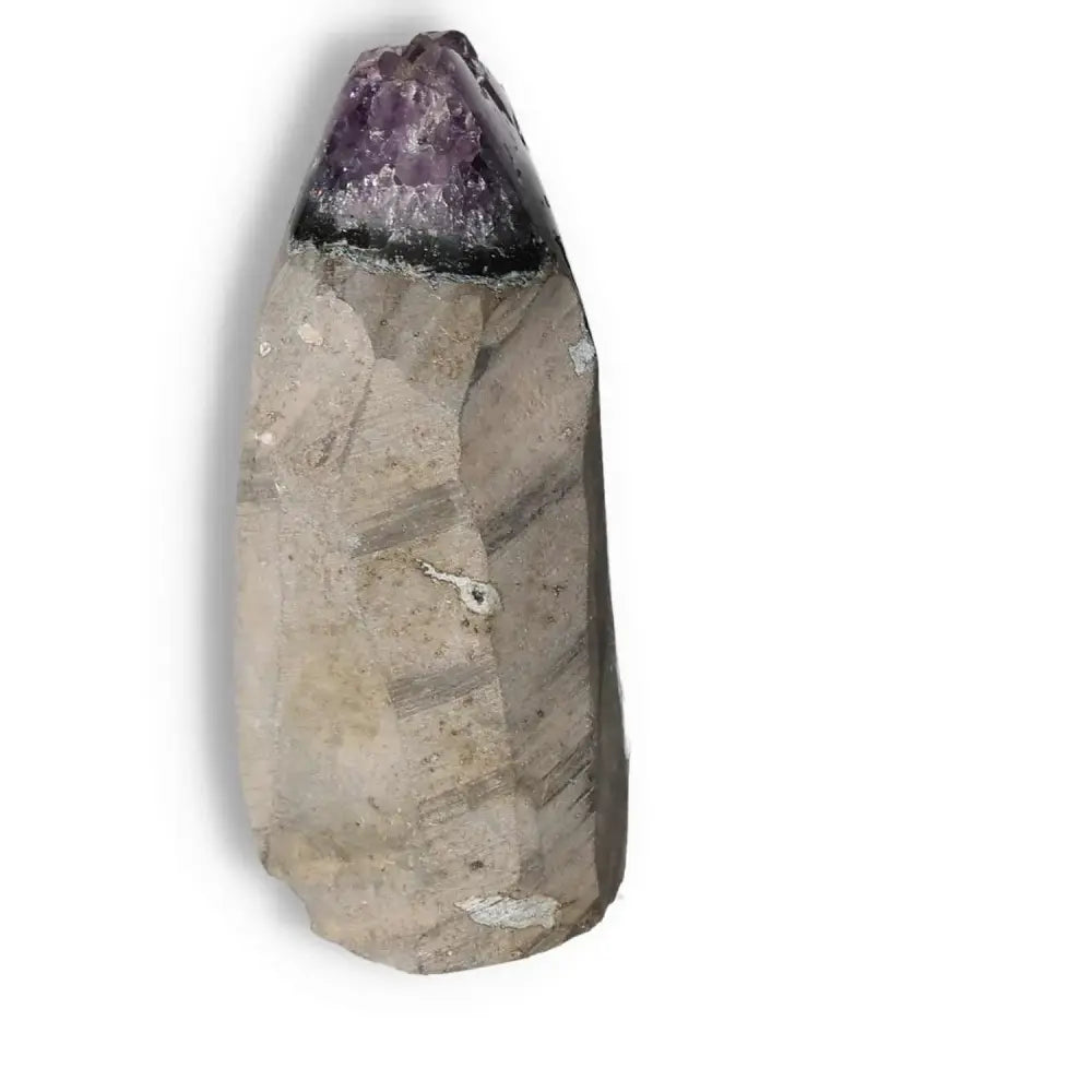 Amethyst cut base geode showcasing natural beauty and calming properties, elegant piece from Sylvia Crystals.