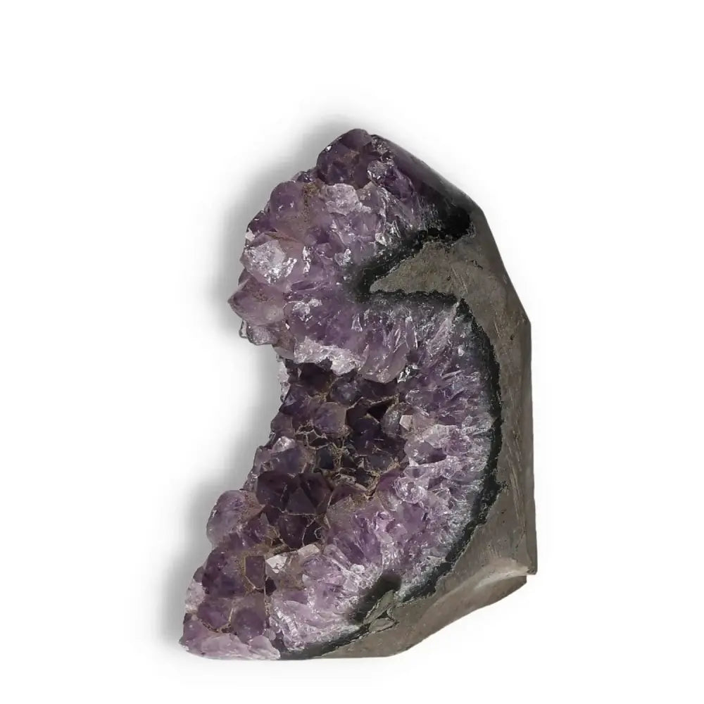Amethyst cut base geode from Sylvia Crystals, showcasing natural beauty and calming properties for spiritual rejuvenation.
