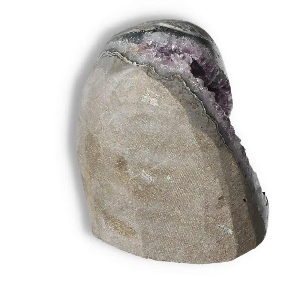Elegant Amethyst cut base geode with deep purple hues from Sylvia Crystals, perfect for decor and stress relief.