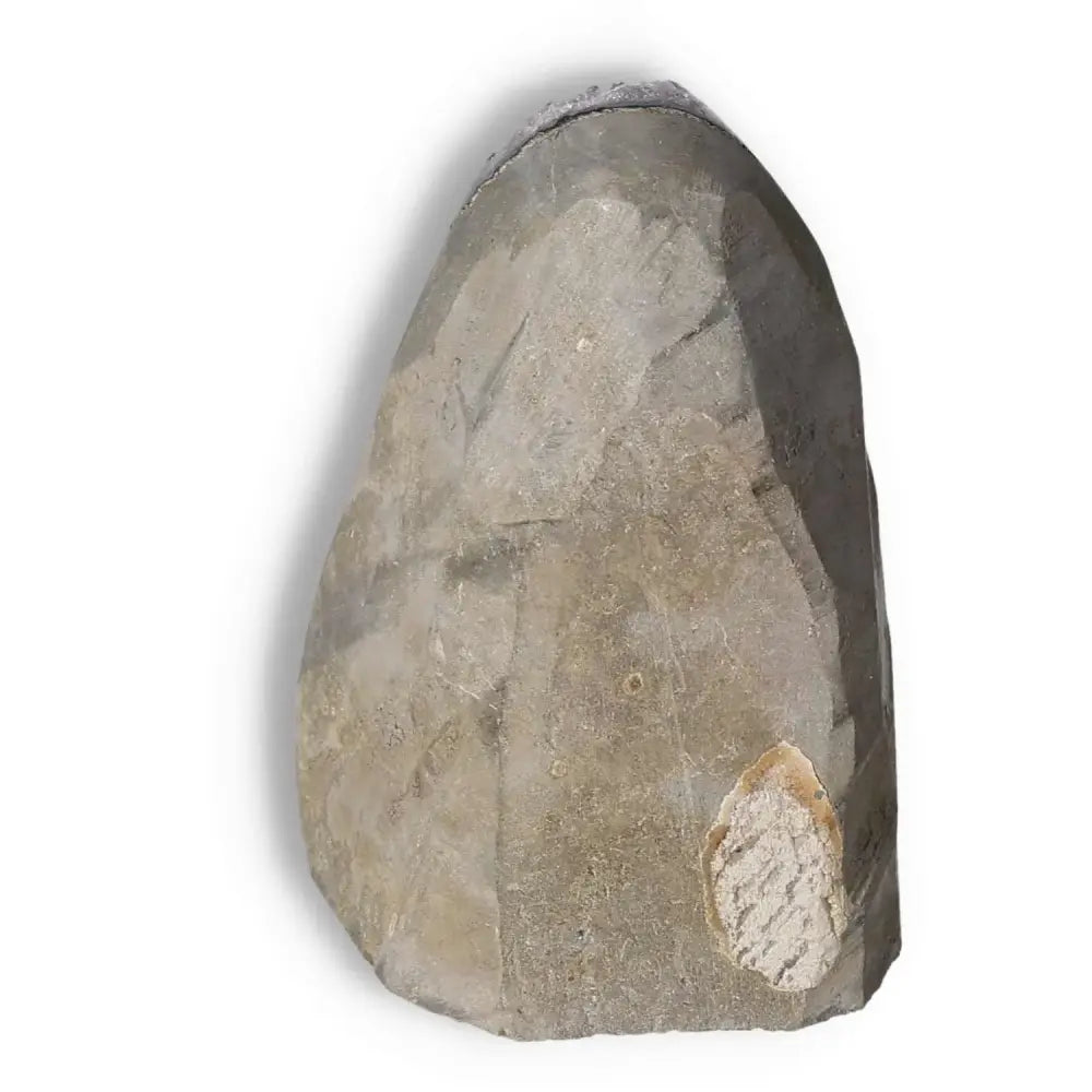 Amethyst cut base geode by Sylvia Crystals, showcasing natural elegance and spiritual benefits, ideal for stress reduction and energy boosting.