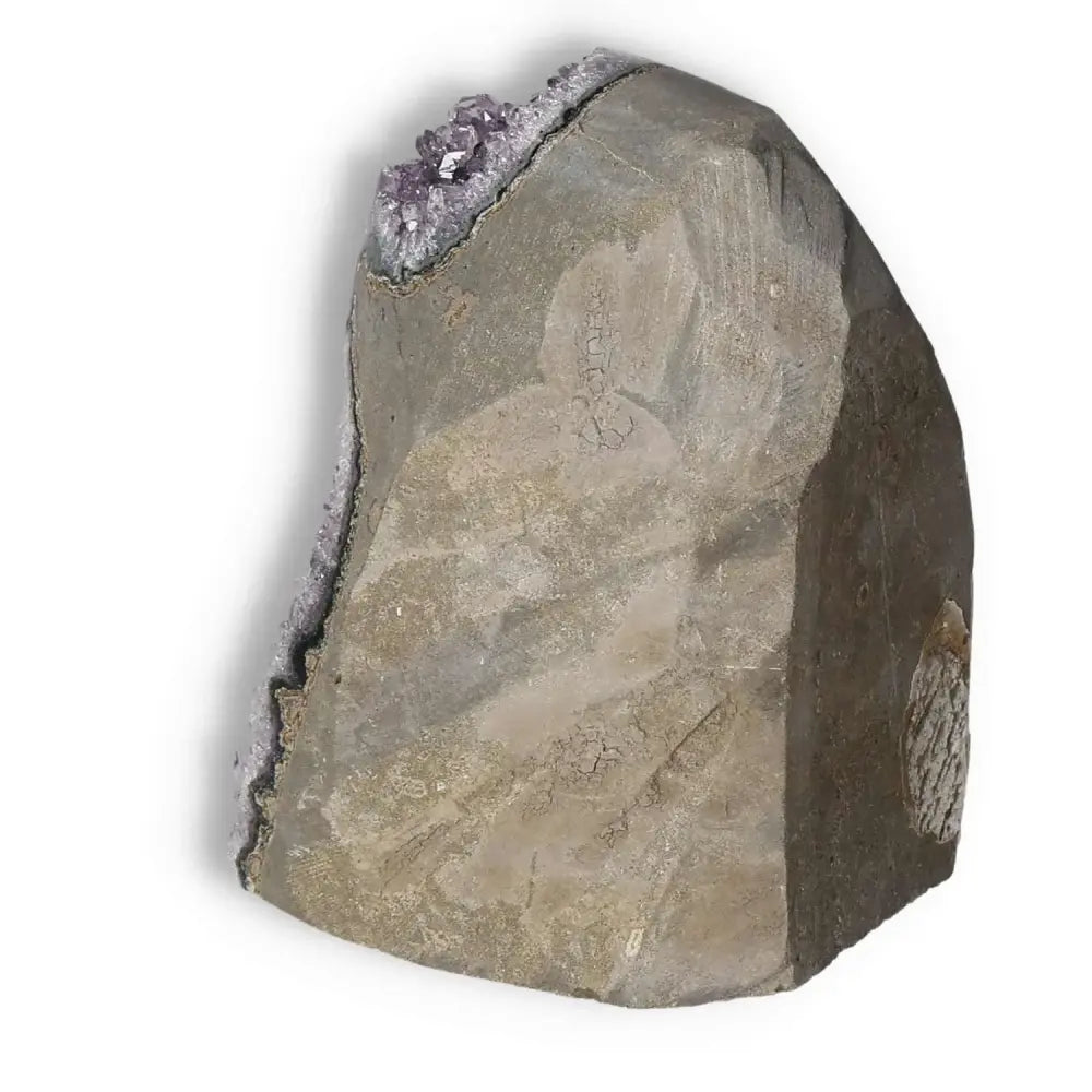 Amethyst cut base geode showcasing natural elegance, a premium Sylvia Crystals product valued for its beauty and metaphysical properties.