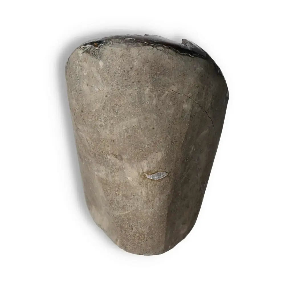 Amethyst cut base geode with natural stone texture, enhancing spiritual elegance from Sylvia Crystals.