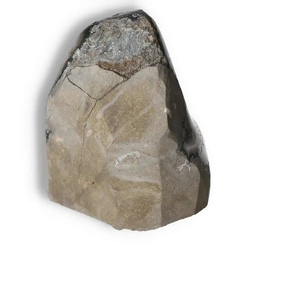 Amethyst cut base geode from Sylvia Crystals, showcasing natural beauty and promoting tranquility and mental clarity.