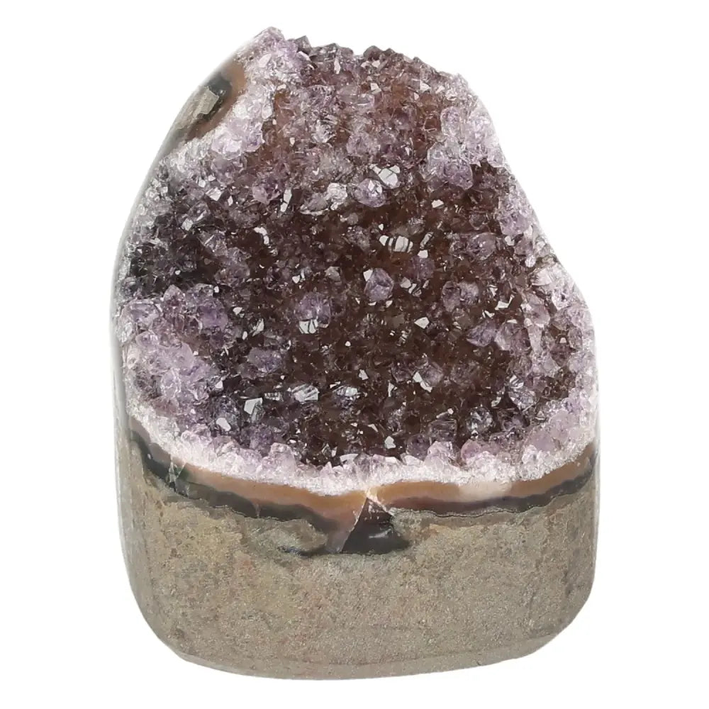 Amethyst cut base geode from Sylvia Crystals, showcasing rich purple hues and sparkling formations, perfect for stress relief and decor.
