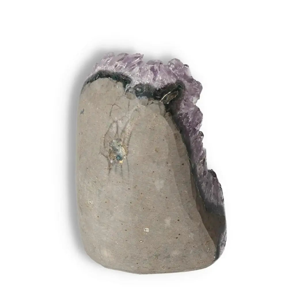 Premium Amethyst cut base geode by Sylvia Crystals, showcasing raw beauty and transformative energy perfect for personal spaces.