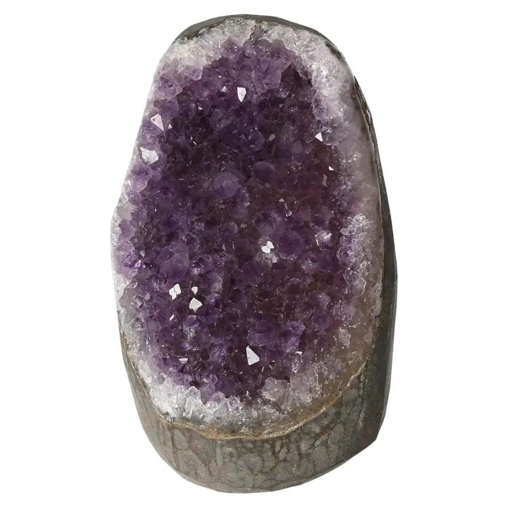 Premium Amethyst geode by Sylvia Crystals, showcasing natural beauty and healing properties for emotional stability and concentration.