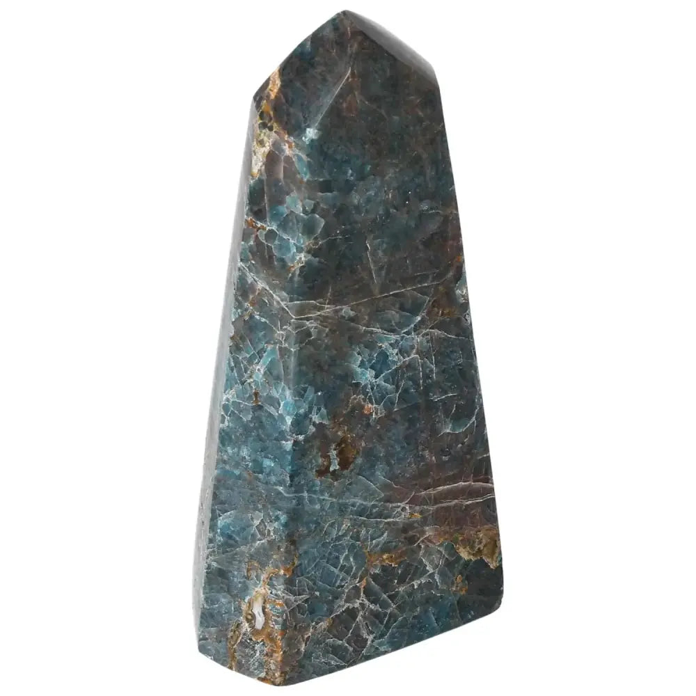 orbitvu|type:image2d