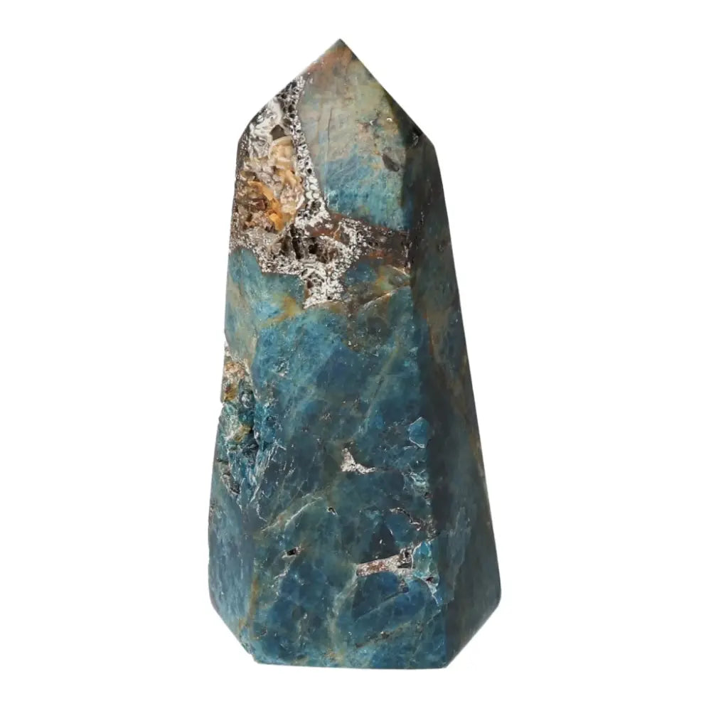 orbitvu|type:ORBITVU 360|https://orbitvu.co/share/s3ggF9pPbvYpZKoSMb6s5H/6530069/360/iframe