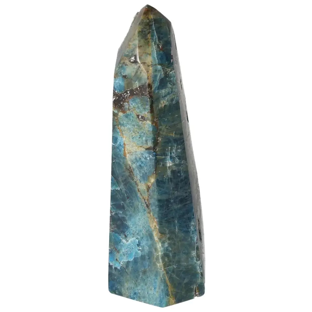 orbitvu|type:image2d