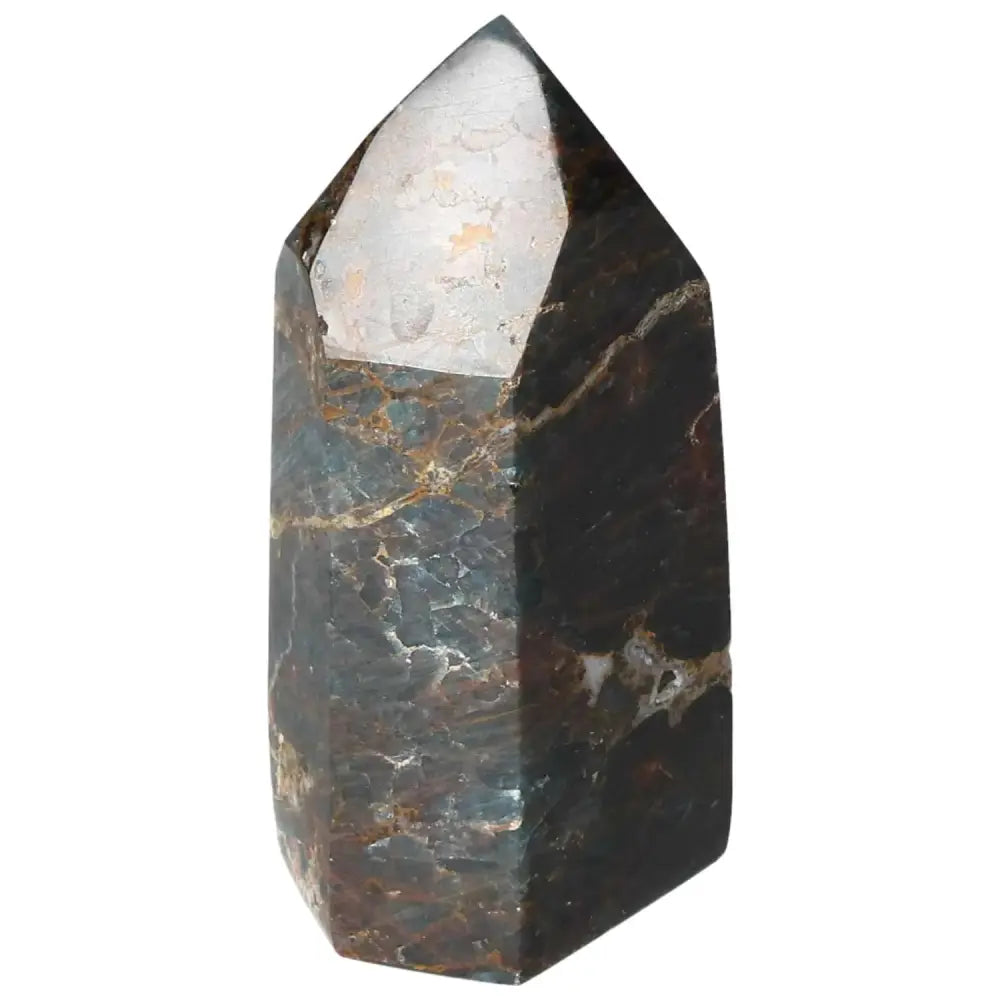 orbitvu|type:image2d