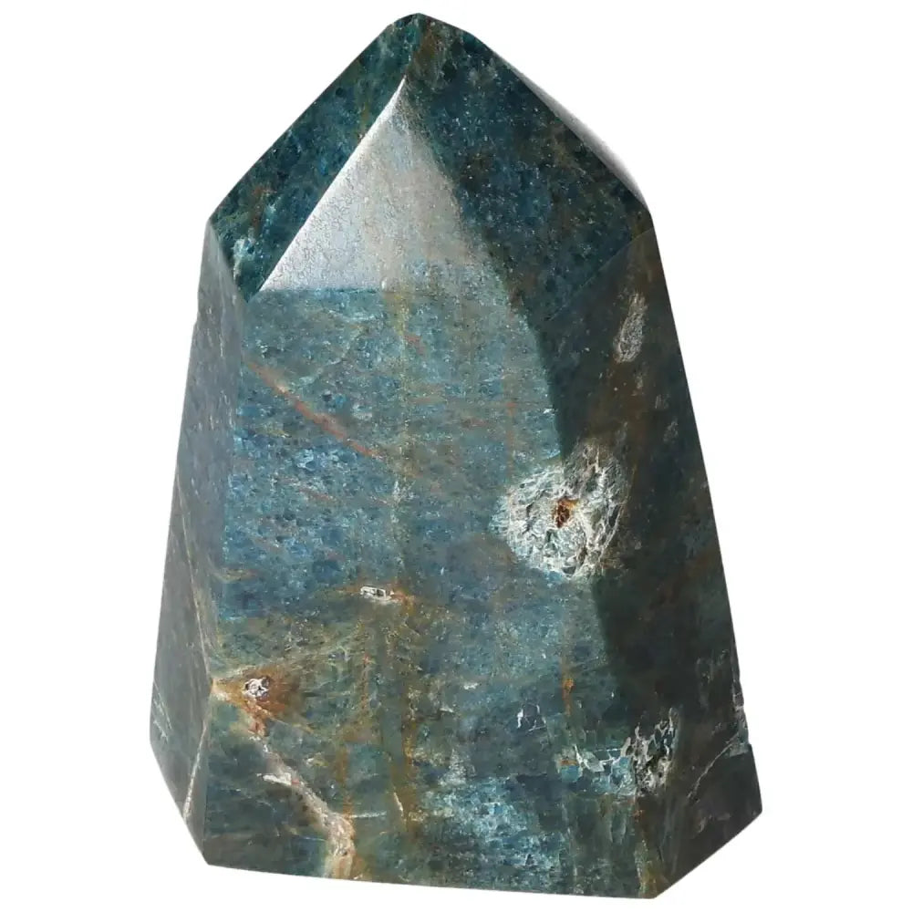 orbitvu|type:image2d