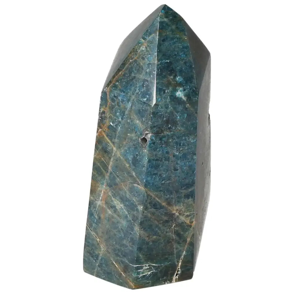 orbitvu|type:image2d