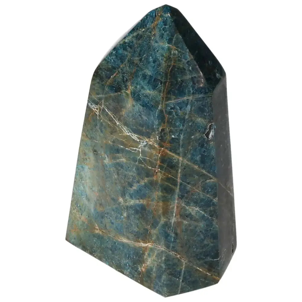 orbitvu|type:image2d