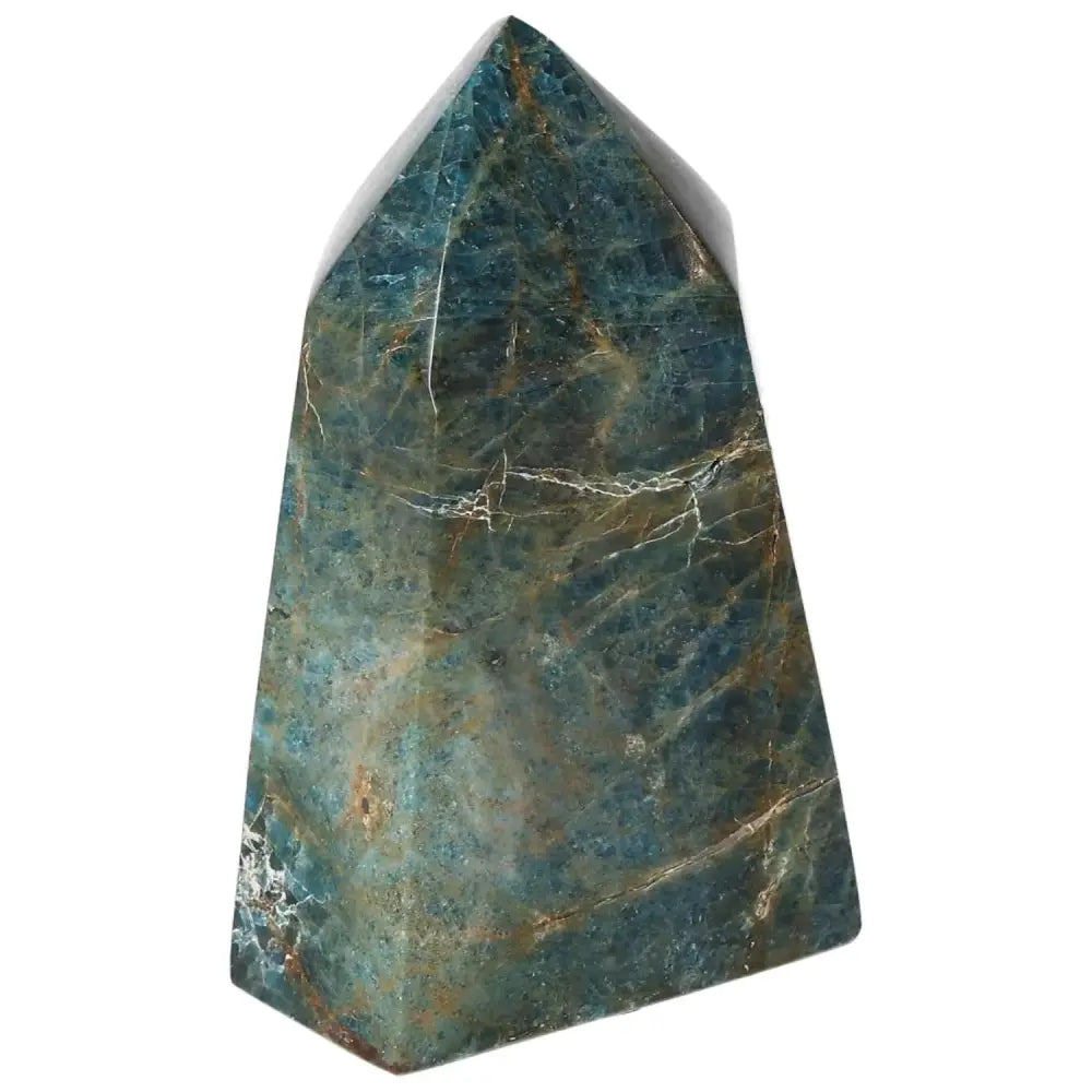 orbitvu|type:image2d